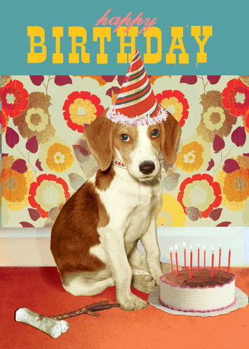 Happy Birthday Dog Greeting Card by Max Hernn